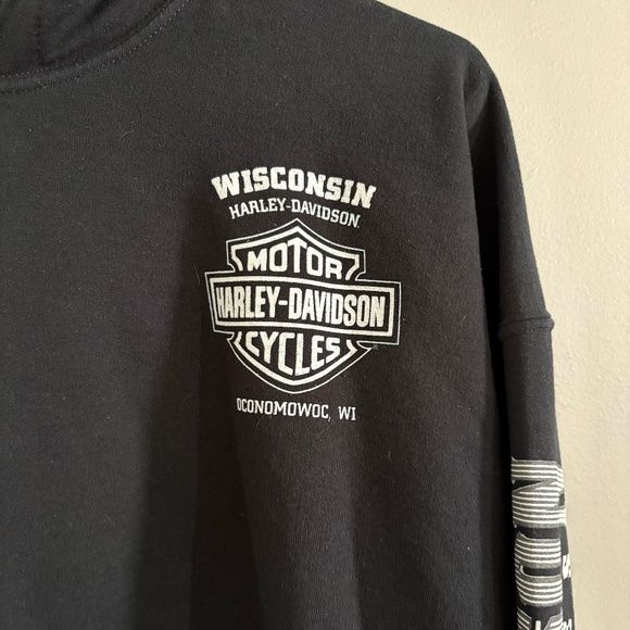 Harley-Davidson Men's Lightning Crest Pullover Hooded Sweatshirt - Picture 4 of 10